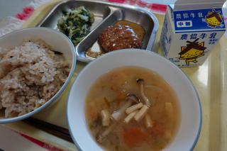 DSC01014.JPG
