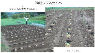 スクリーンショット 2026-10-06 172916.png