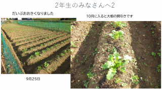 スクリーンショット 2026-10-06 173008.png