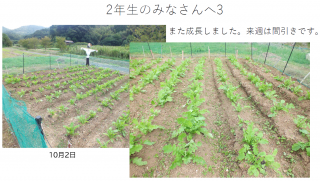 スクリーンショット 2026-10-06 173028.png