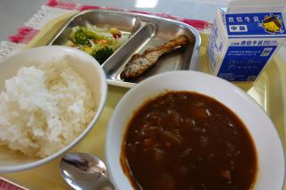 DSC01147.JPG