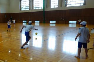 DSC00835(2)-thumb-320xauto-192783.jpg
