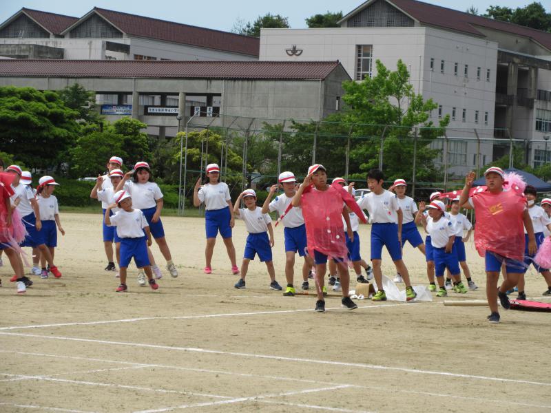 IMG_2238.JPG