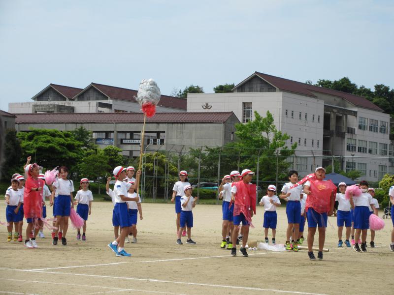 IMG_2239.JPG