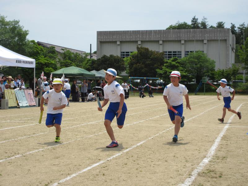 IMG_2252.JPG
