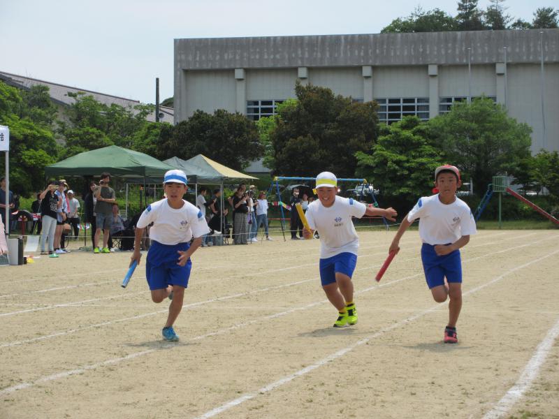 IMG_2254.JPG