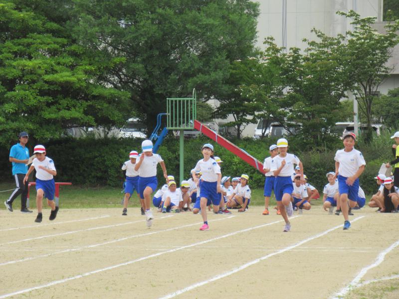 IMG_8949.JPG