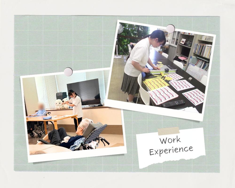 Work Experience4.jpg