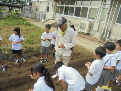 ２年生大根たねまき