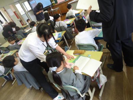 DSC04770.JPG