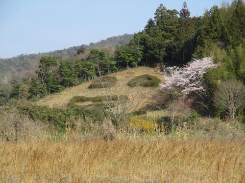にこにこ山