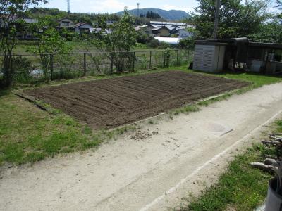 学校の畑
