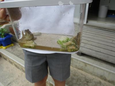 生き物大好き１