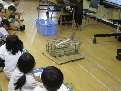 しじみ漁を学ぼう