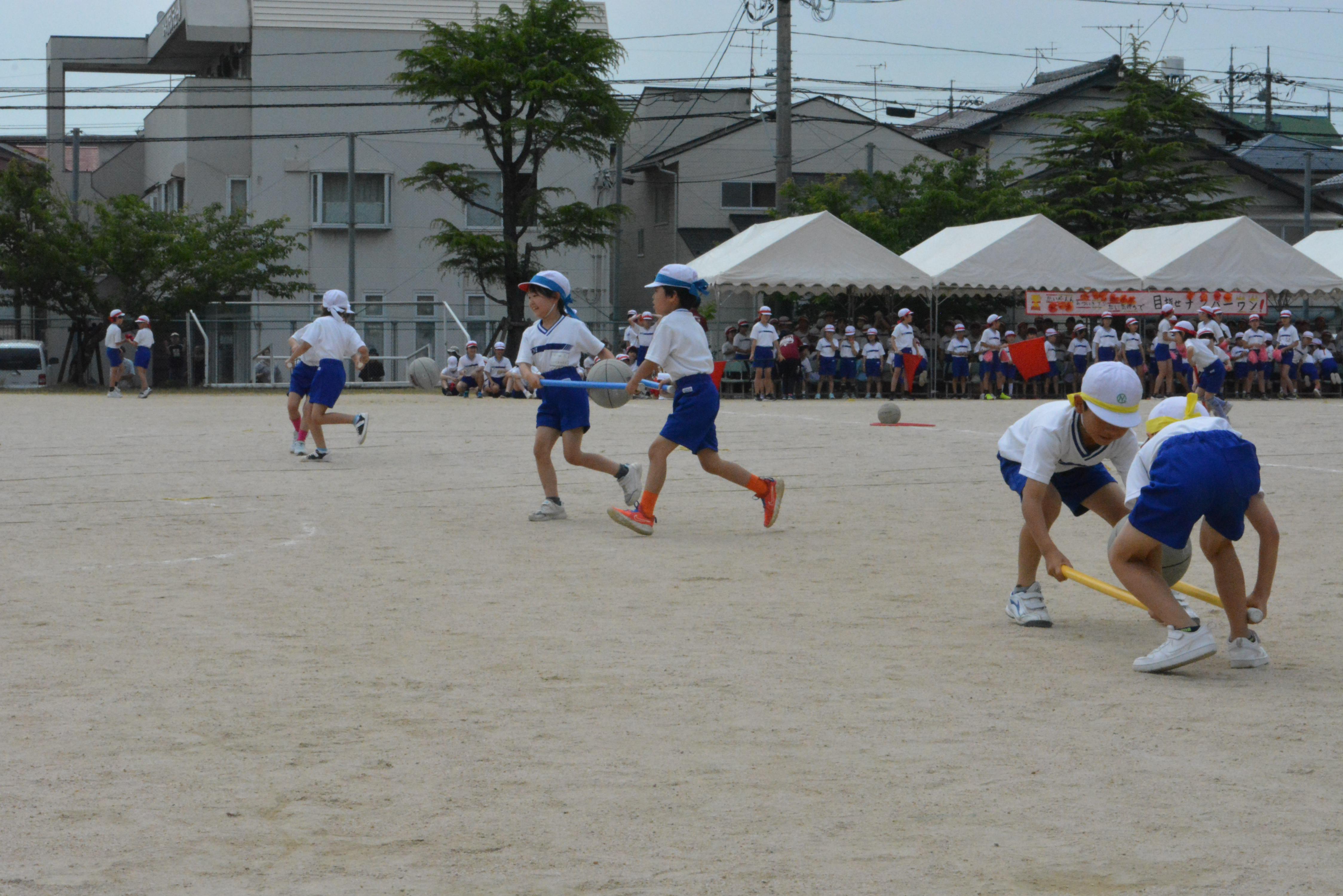 ３３　　DSC_0067.JPG