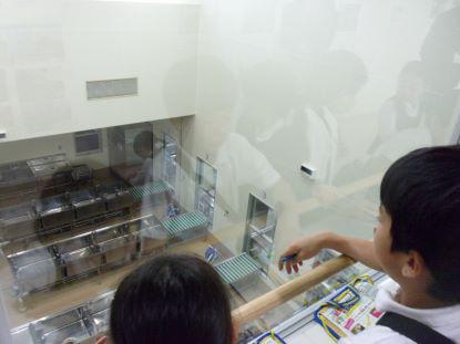 113_2662.JPG