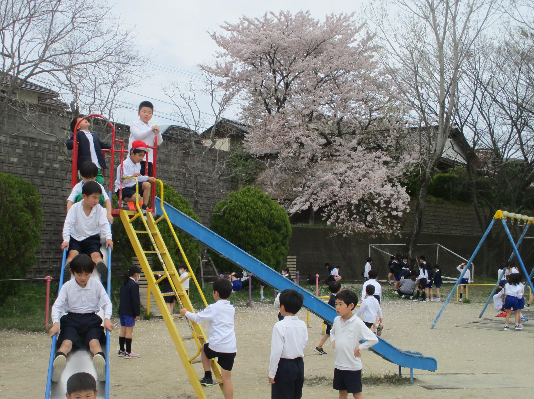 1IMG_3826.JPG
