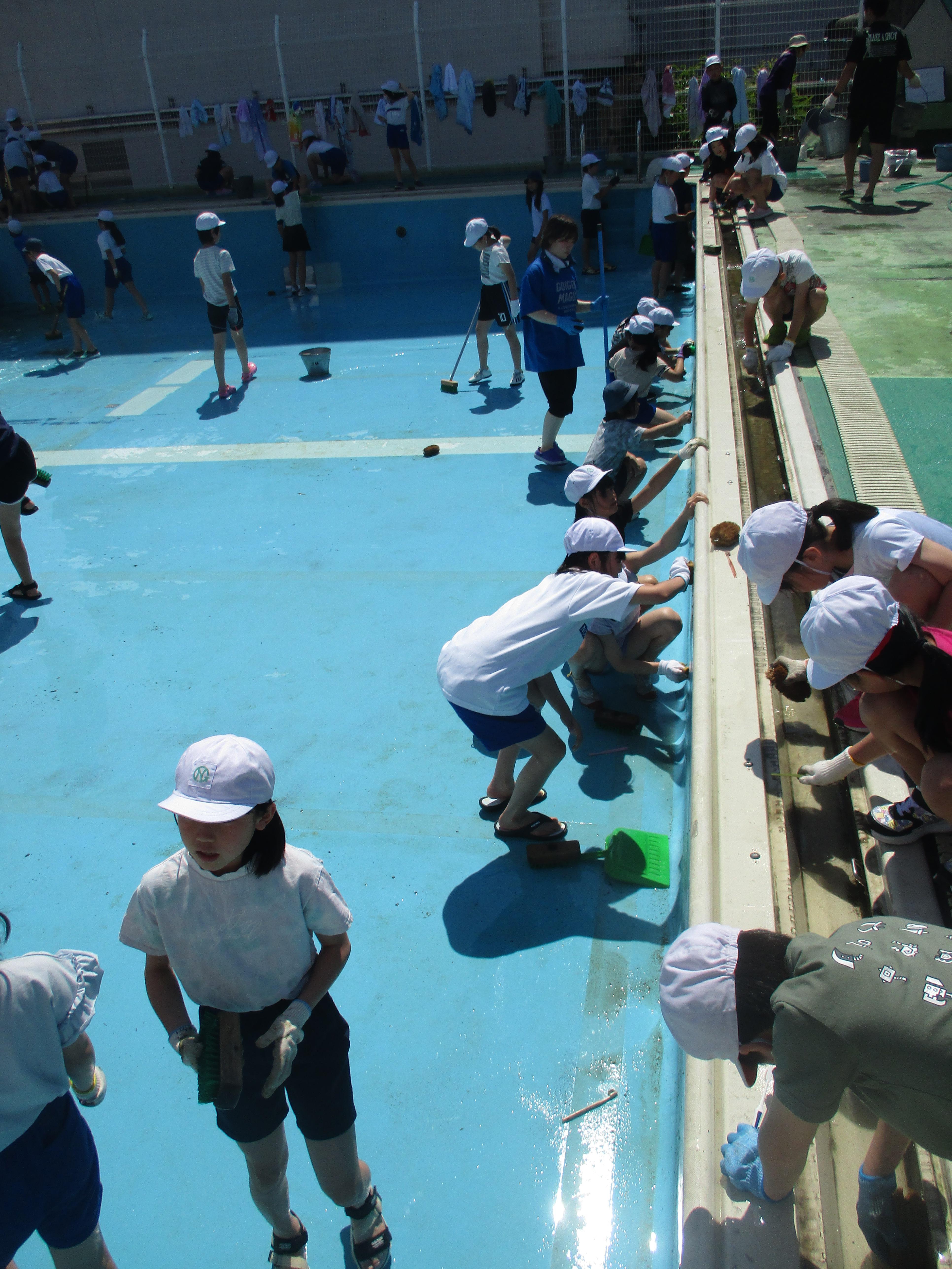 IMG_1084.JPG_2.jpg