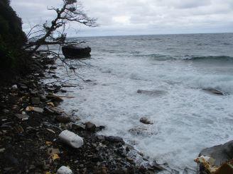 IMG_1245.JPG