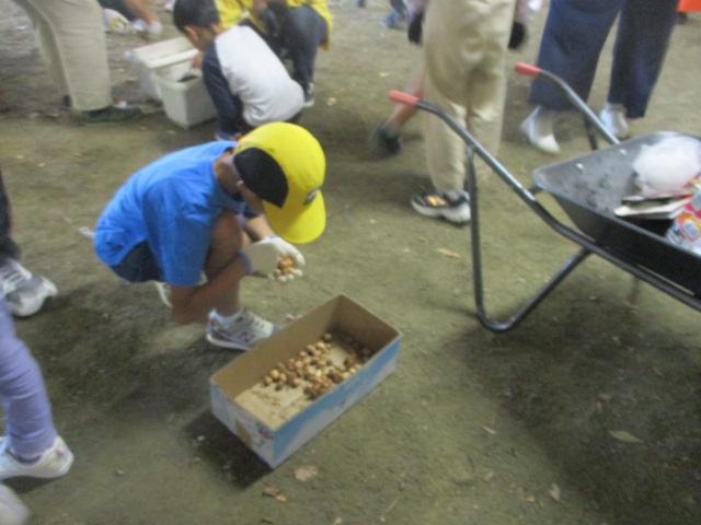 IMG_5981.JPG