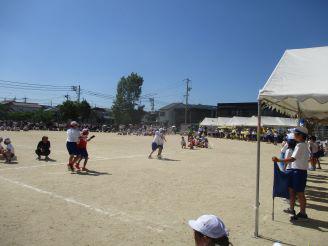 IMG_6724.JPG