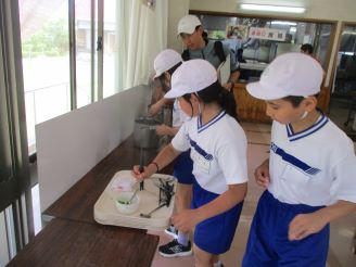 IMG_7182.JPG