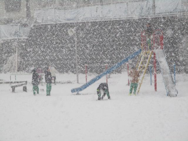 IMG_8120.JPG