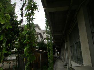 IMG_8368.JPG