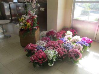 IMG_9152.JPG