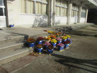 IMG_9174.JPG