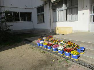 IMG_9175.JPG
