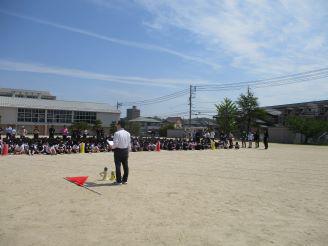IMG_9436.JPG