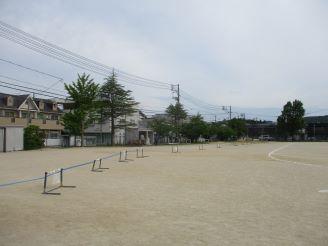 IMG_9831.JPG