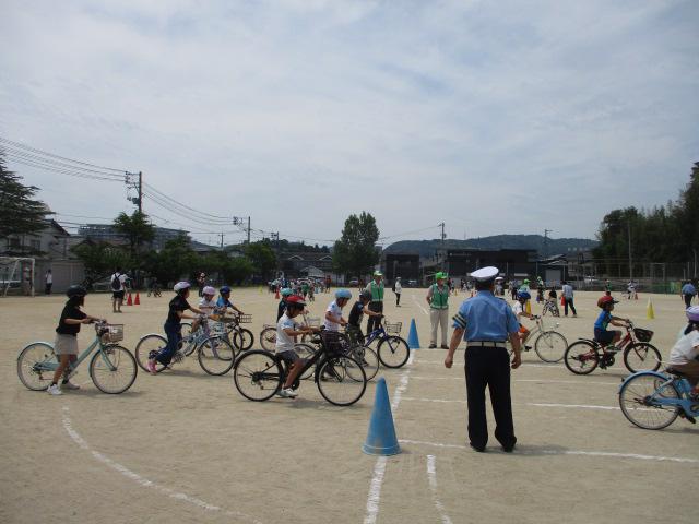 IMG_4797.JPG