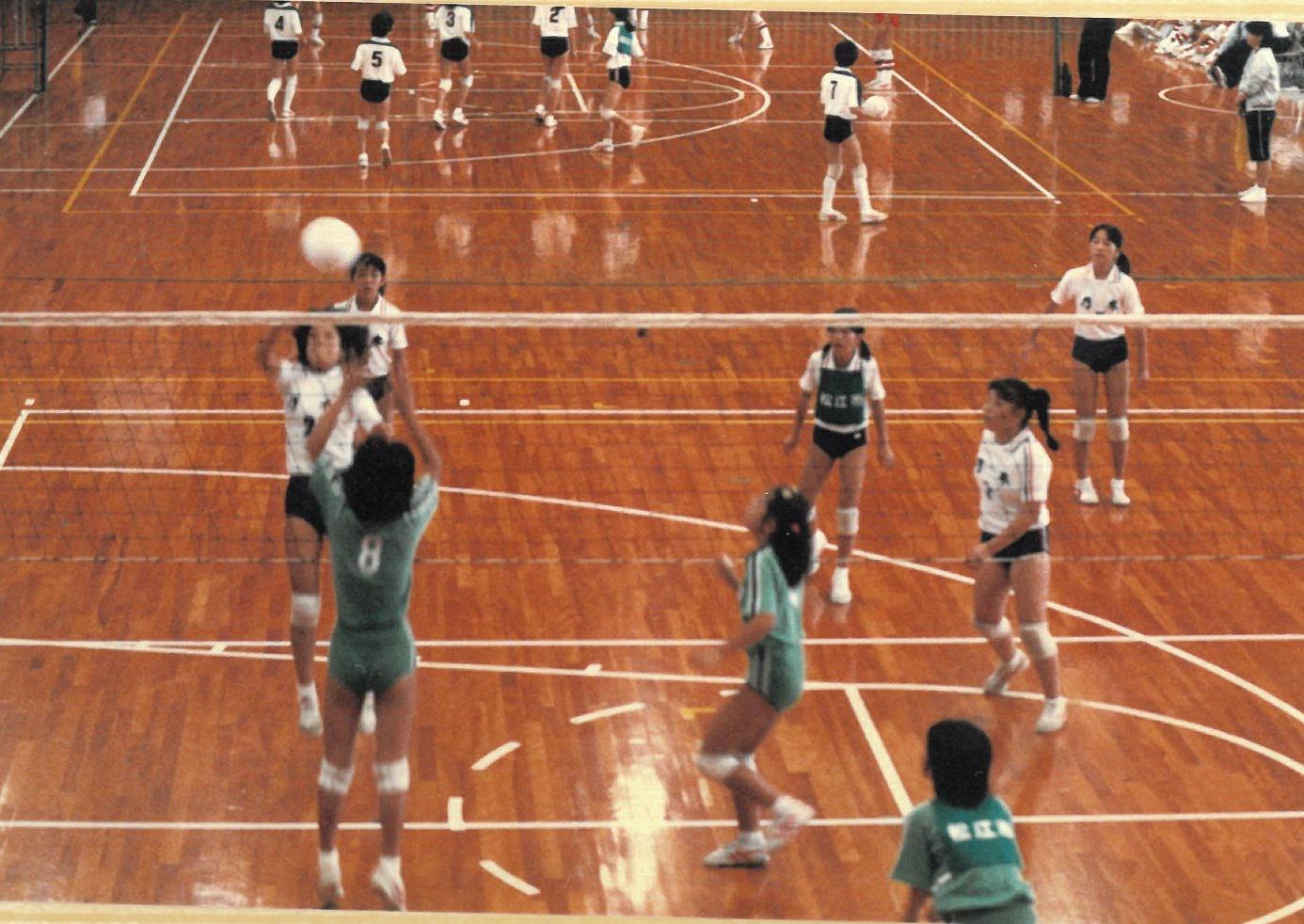 S62no5.jpg