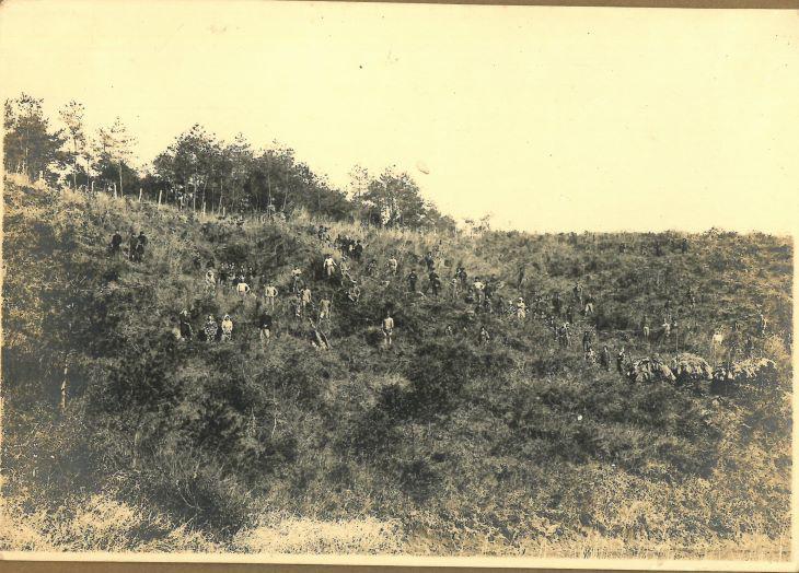 S16_友田山植林.jpg