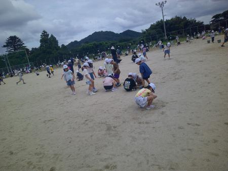全校草抜き2.jpg