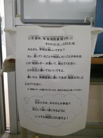 DSCF0003.JPG
