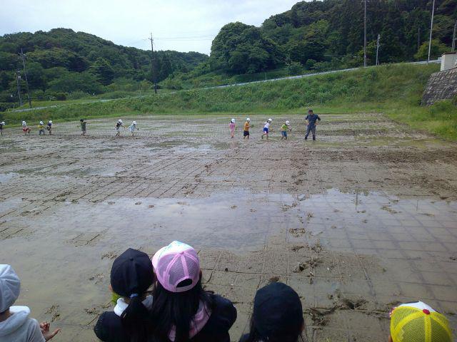DSCF0226.JPG