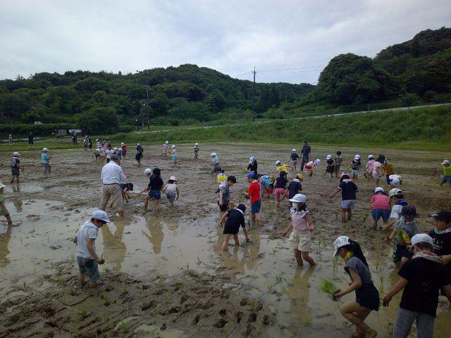 DSCF0227.JPG