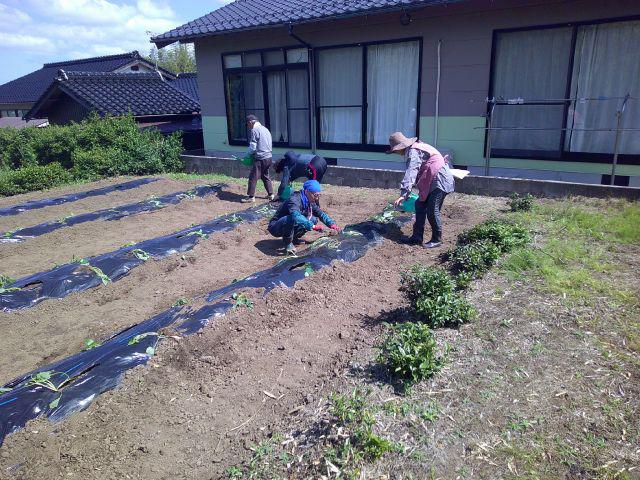 DSCF0243.JPG