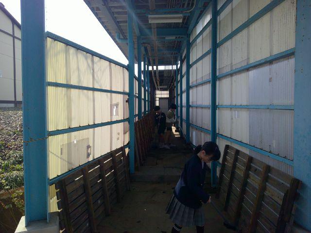DSCF0291.JPG
