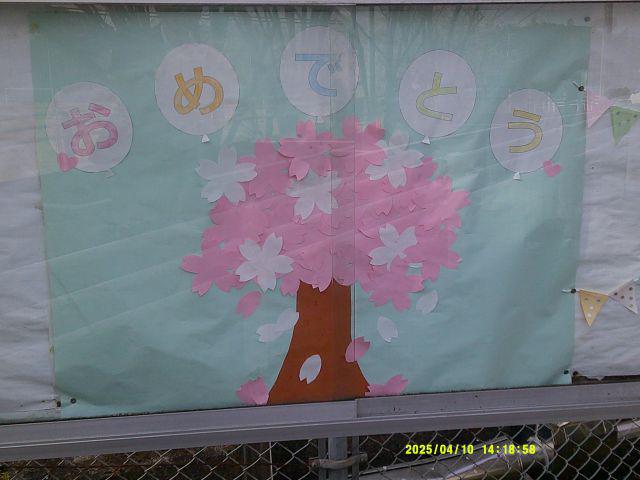 DSCF0319.JPG