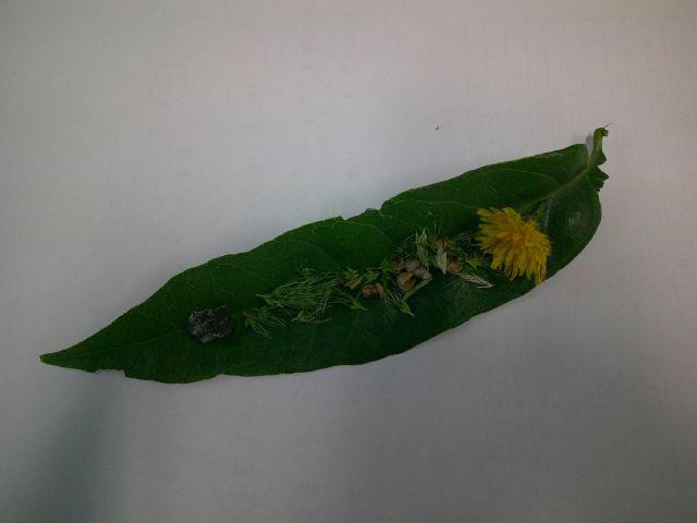 DSCF0364.JPG