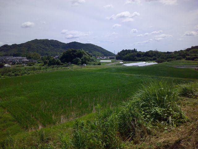 DSCF0379.JPG