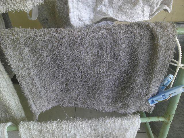 DSCF0404.JPG