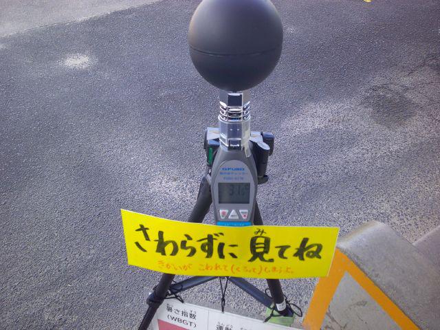 DSCF0510.JPG