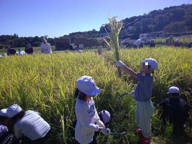 DSCF0540.jpg