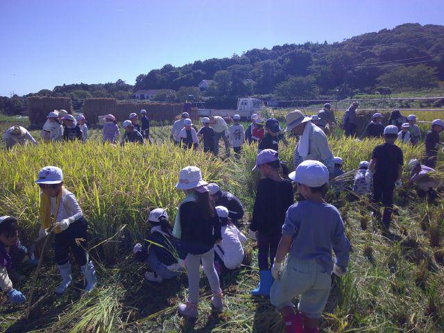 DSCF0541.JPG