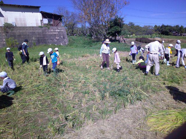 DSCF0542.JPG